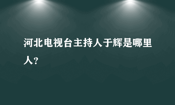 河北电视台主持人于辉是哪里人？