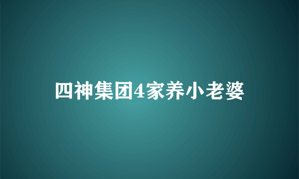 四神集团4家养小老婆