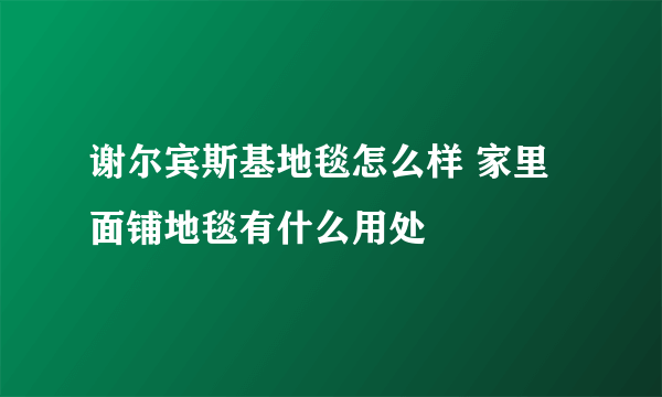 谢尔宾斯基地毯怎么样 家里面铺地毯有什么用处