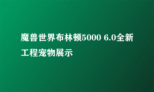 魔兽世界布林顿5000 6.0全新工程宠物展示