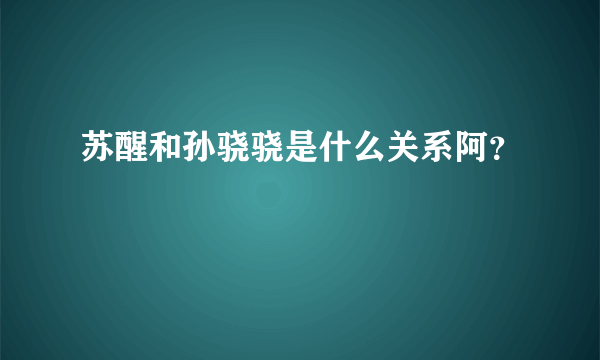 苏醒和孙骁骁是什么关系阿？