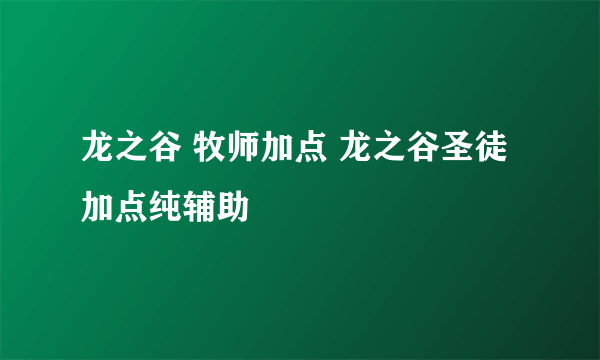 龙之谷 牧师加点 龙之谷圣徒加点纯辅助