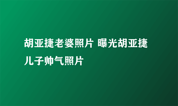 胡亚捷老婆照片 曝光胡亚捷儿子帅气照片