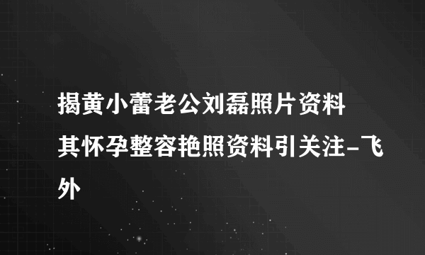 揭黄小蕾老公刘磊照片资料 其怀孕整容艳照资料引关注-飞外