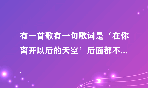 有一首歌有一句歌词是‘在你离开以后的天空’后面都不记得了，那是什么歌