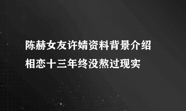 陈赫女友许婧资料背景介绍  相恋十三年终没熬过现实