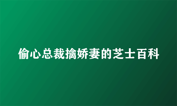 偷心总裁擒娇妻的芝士百科