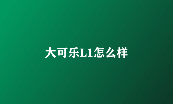 大可乐L1怎么样