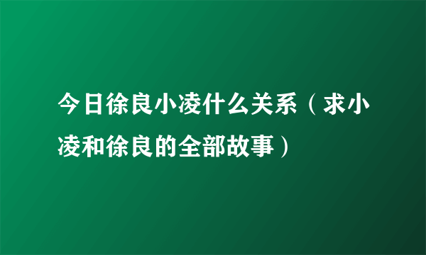 今日徐良小凌什么关系（求小凌和徐良的全部故事）