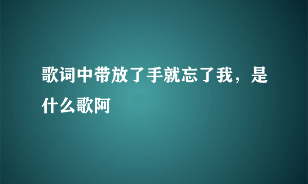 歌词中带放了手就忘了我，是什么歌阿