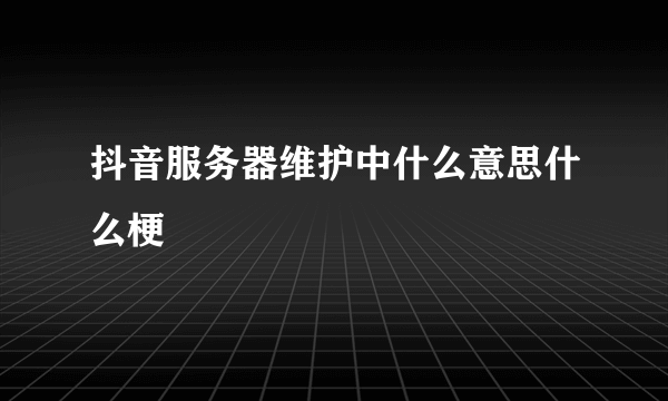 抖音服务器维护中什么意思什么梗