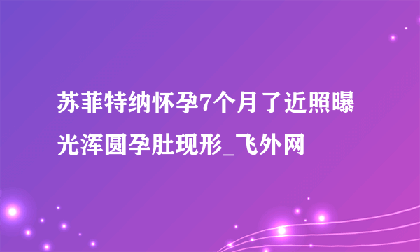 苏菲特纳怀孕7个月了近照曝光浑圆孕肚现形_飞外网