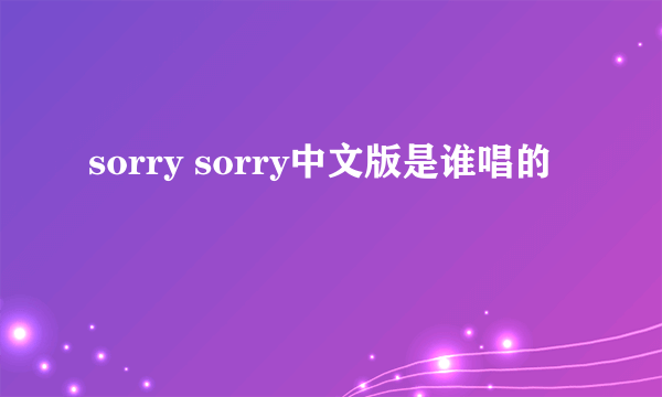 sorry sorry中文版是谁唱的