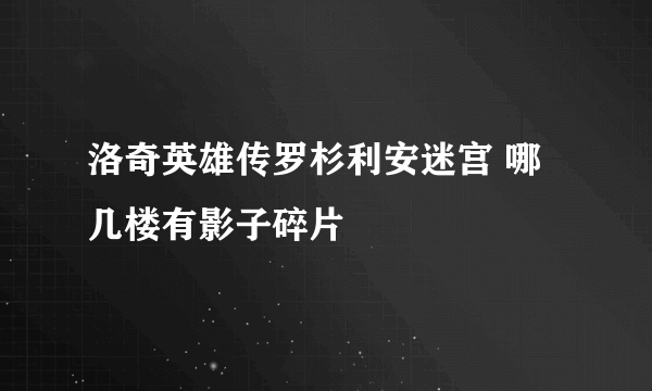 洛奇英雄传罗杉利安迷宫 哪几楼有影子碎片