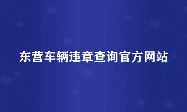 东营车辆违章查询官方网站