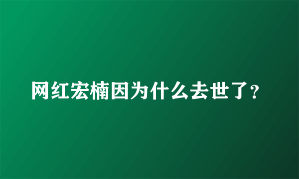 网红宏楠因为什么去世了？