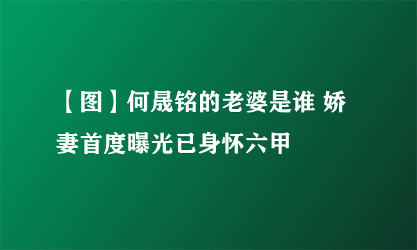 【图】何晟铭的老婆是谁 娇妻首度曝光已身怀六甲