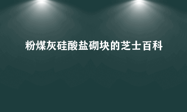 粉煤灰硅酸盐砌块的芝士百科