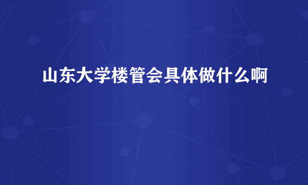 山东大学楼管会具体做什么啊