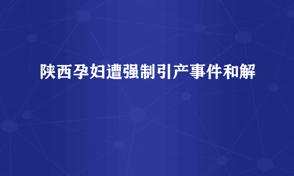 陕西孕妇遭强制引产事件和解