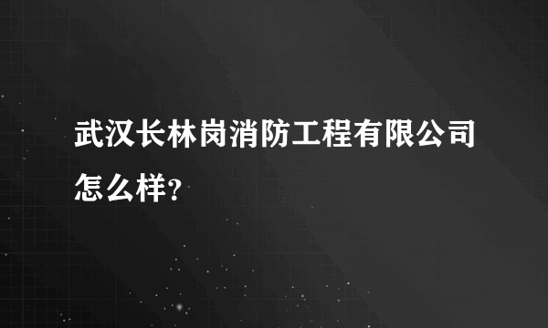 武汉长林岗消防工程有限公司怎么样？