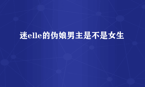 迷elle的伪娘男主是不是女生