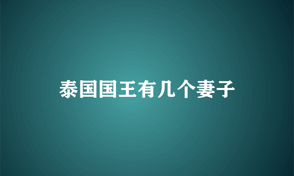 泰国国王有几个妻子