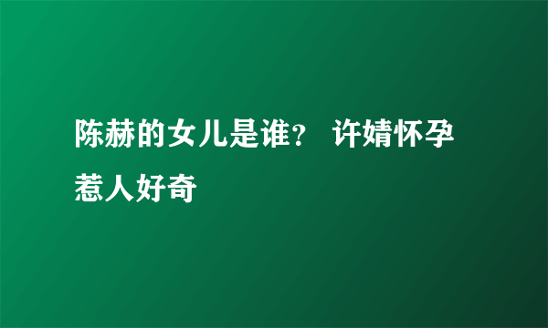 陈赫的女儿是谁？ 许婧怀孕惹人好奇