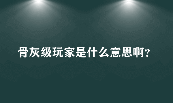 骨灰级玩家是什么意思啊？