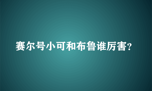 赛尔号小可和布鲁谁厉害？