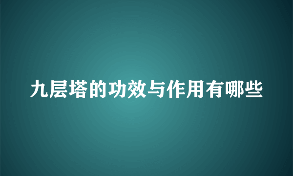 九层塔的功效与作用有哪些