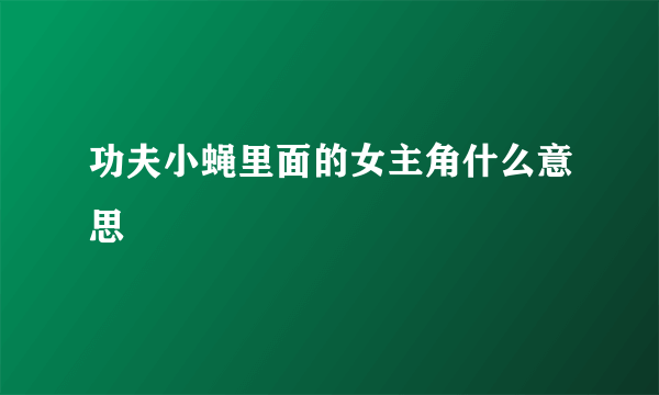 功夫小蝇里面的女主角什么意思