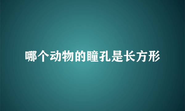 哪个动物的瞳孔是长方形