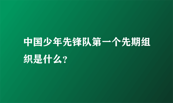 中国少年先锋队第一个先期组织是什么？