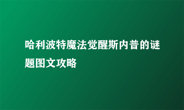 哈利波特魔法觉醒斯内普的谜题图文攻略