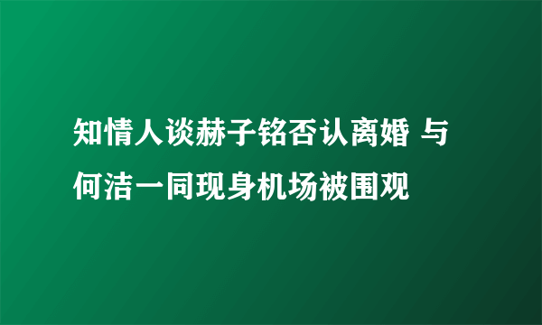 知情人谈赫子铭否认离婚 与何洁一同现身机场被围观