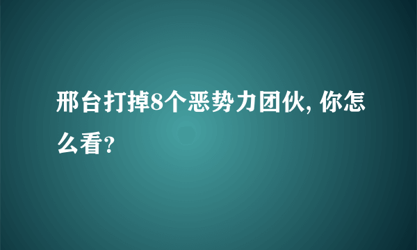 邢台打掉8个恶势力团伙, 你怎么看？