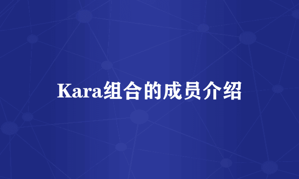 Kara组合的成员介绍