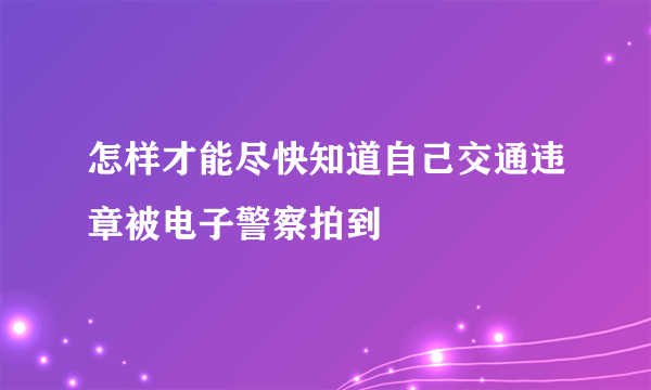 怎样才能尽快知道自己交通违章被电子警察拍到