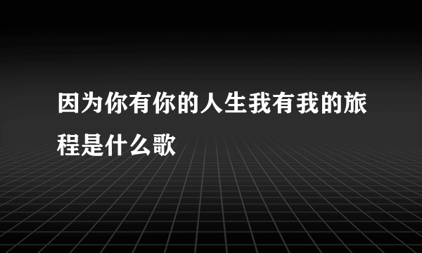 因为你有你的人生我有我的旅程是什么歌