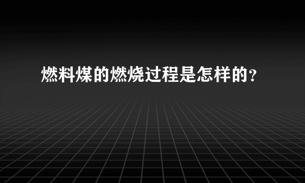 燃料煤的燃烧过程是怎样的？