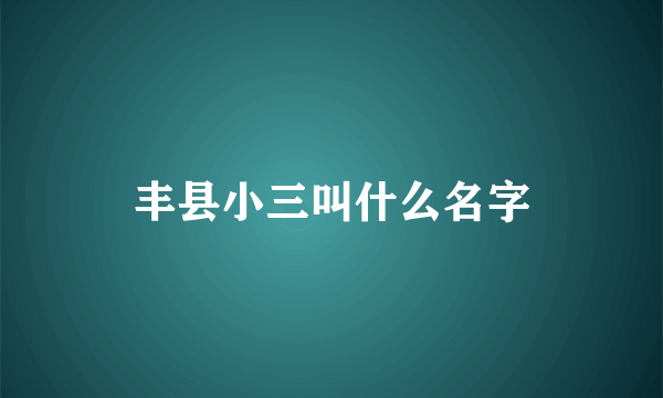 丰县小三叫什么名字