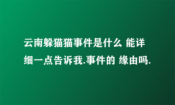 云南躲猫猫事件是什么 能详细一点告诉我.事件的 缘由吗.