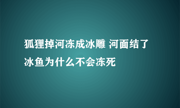 狐狸掉河冻成冰雕 河面结了冰鱼为什么不会冻死