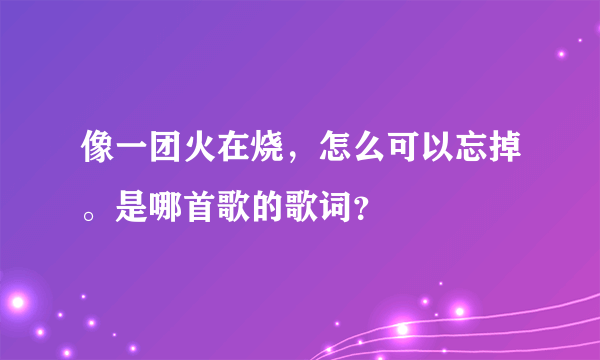 像一团火在烧，怎么可以忘掉。是哪首歌的歌词？