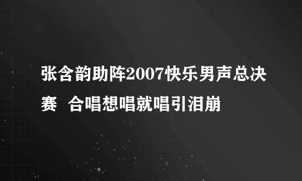 张含韵助阵2007快乐男声总决赛  合唱想唱就唱引泪崩