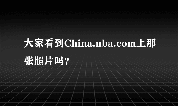 大家看到China.nba.com上那张照片吗？