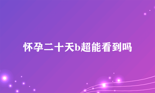 怀孕二十天b超能看到吗