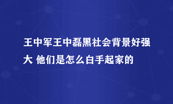 王中军王中磊黑社会背景好强大 他们是怎么白手起家的