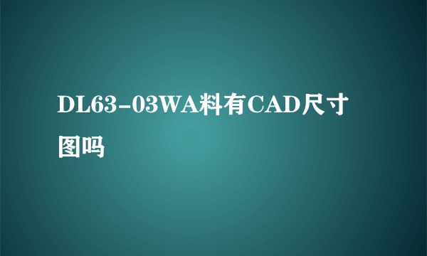 DL63-03WA料有CAD尺寸图吗